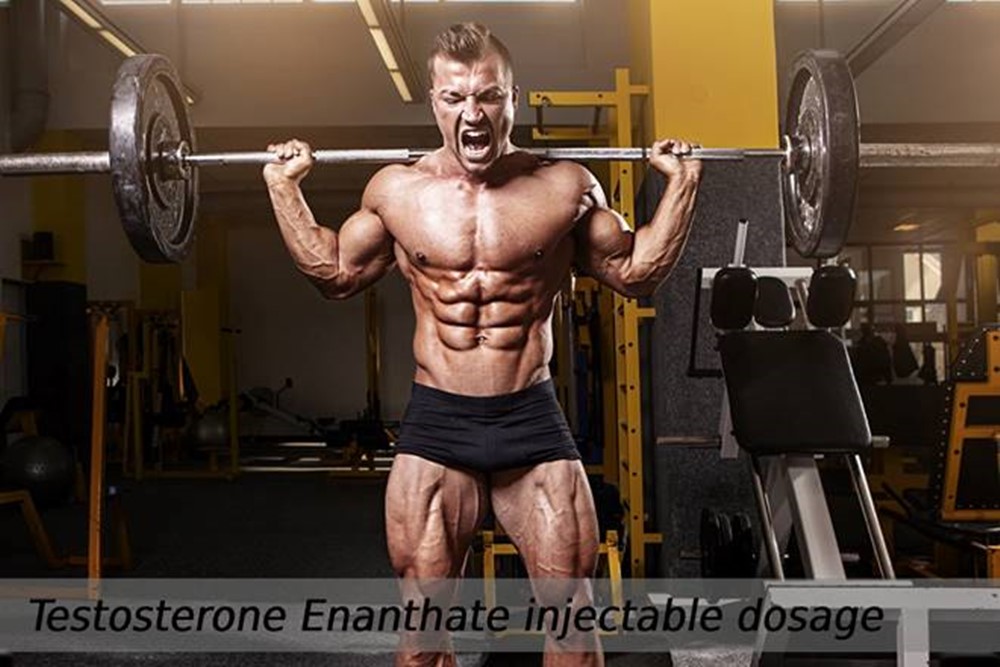 How to use  Testosterone Enanthate?