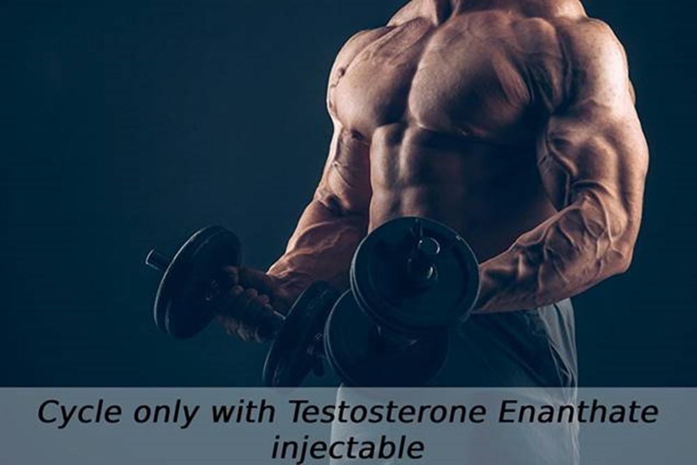Usage Testosterone Enanthat