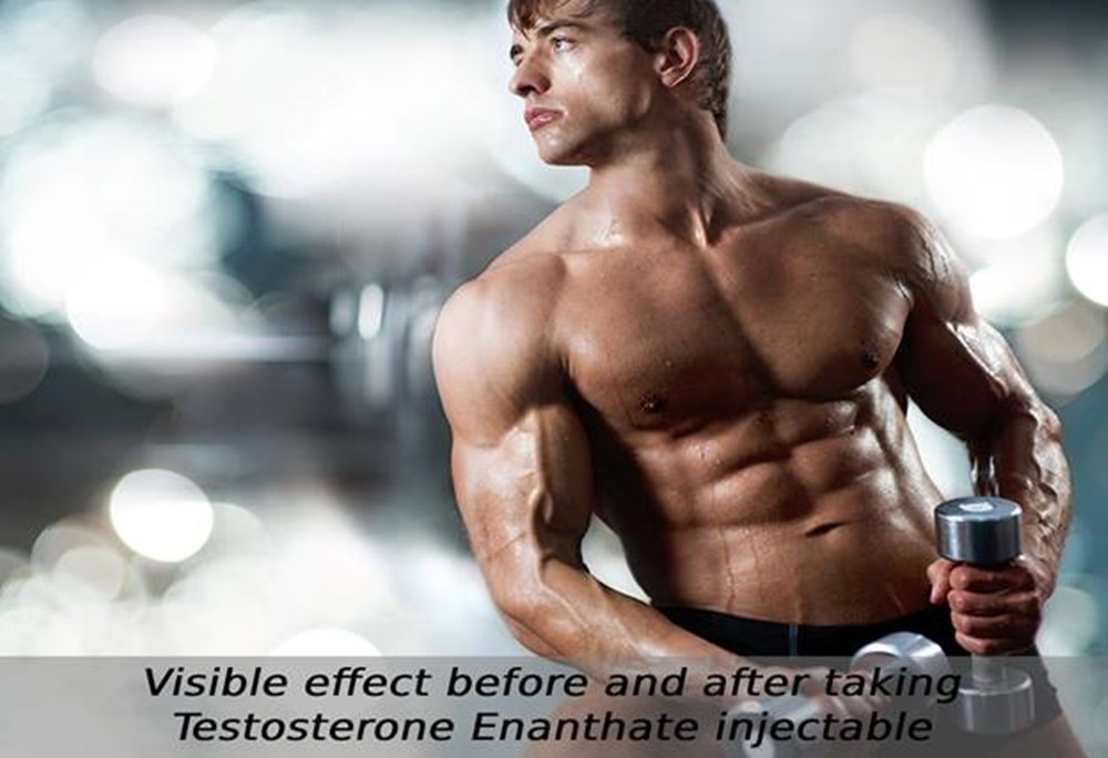  Testosterone Enanthate injectable
