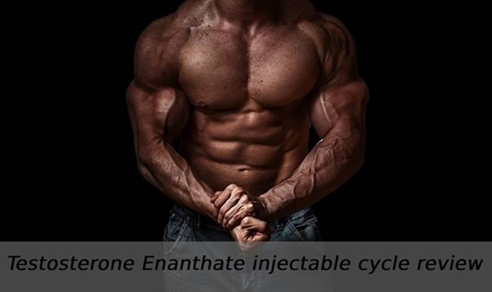 How to get the most out of your testosterone enanthate cycle – review