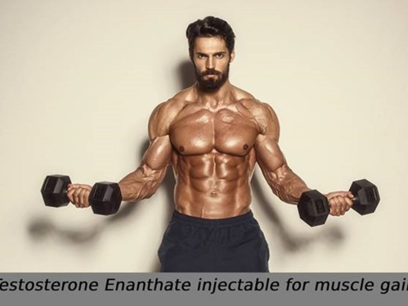 Testosterone Enanthate injectable: How to Gain Muscle Fast?