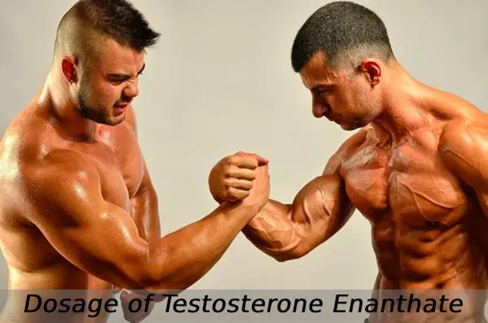 Testosterone Enanthate injectable